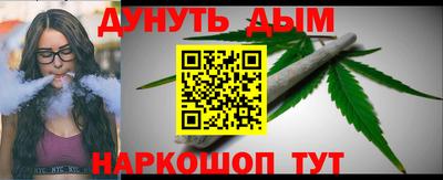 ALPHA PVP Гай