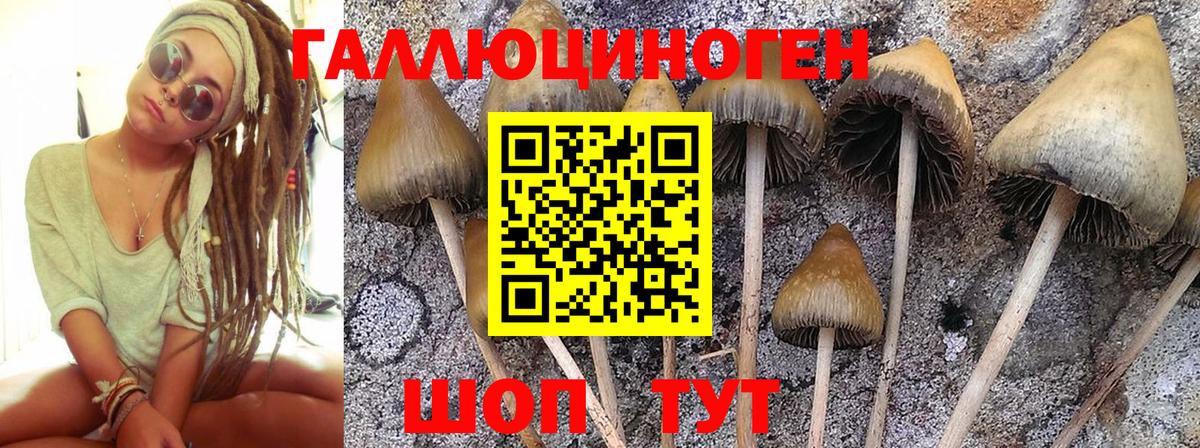 Галлюциногенные грибы GOLDEN TEACHER Бутурлиновка